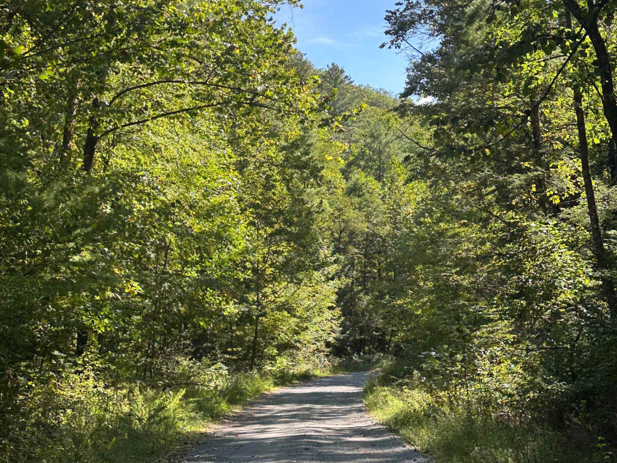 North River Road trail photo