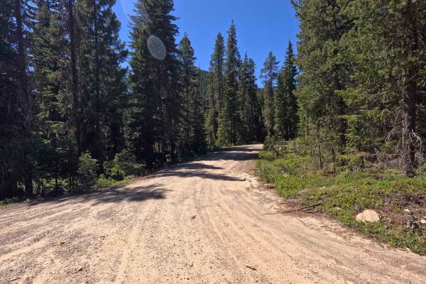 Thorp Creek - FS 4312