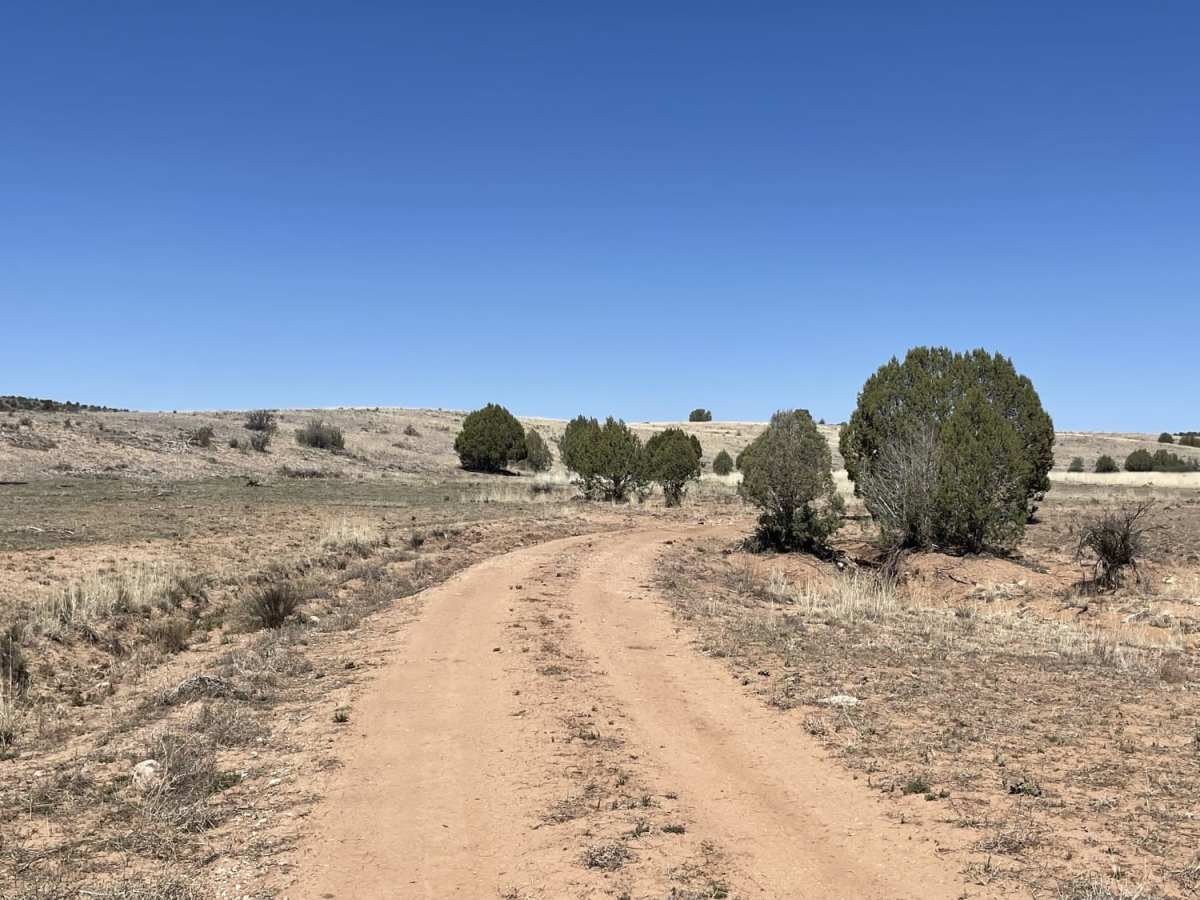 Just Grazing Trail trail photo