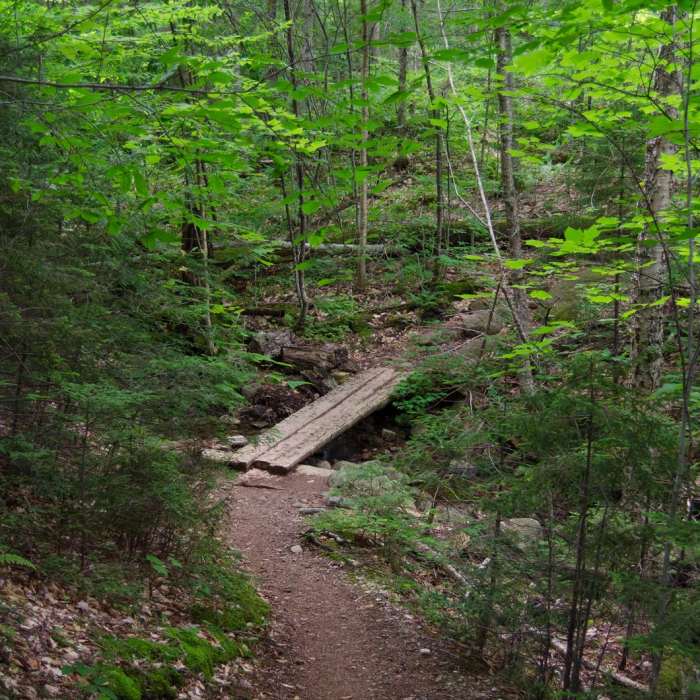 Near Rocky Falls Near Rocky Falls