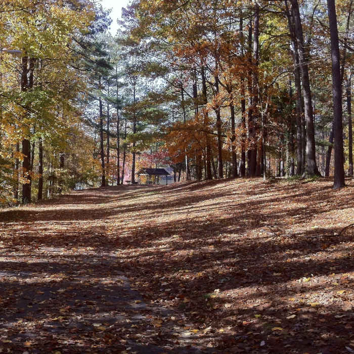 Murphey Candler Park Near Murphey Candler Park Trail