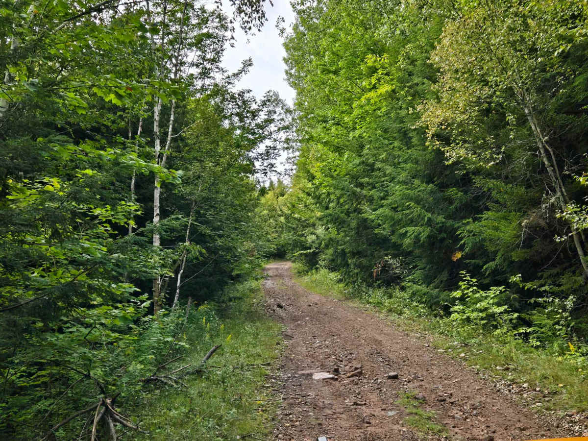 Shaw Road photo 3