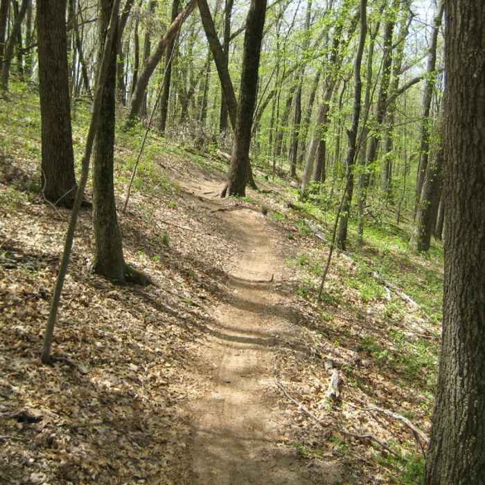Near Cannonsburg State Game Area: Egypt Valley Loop Hike