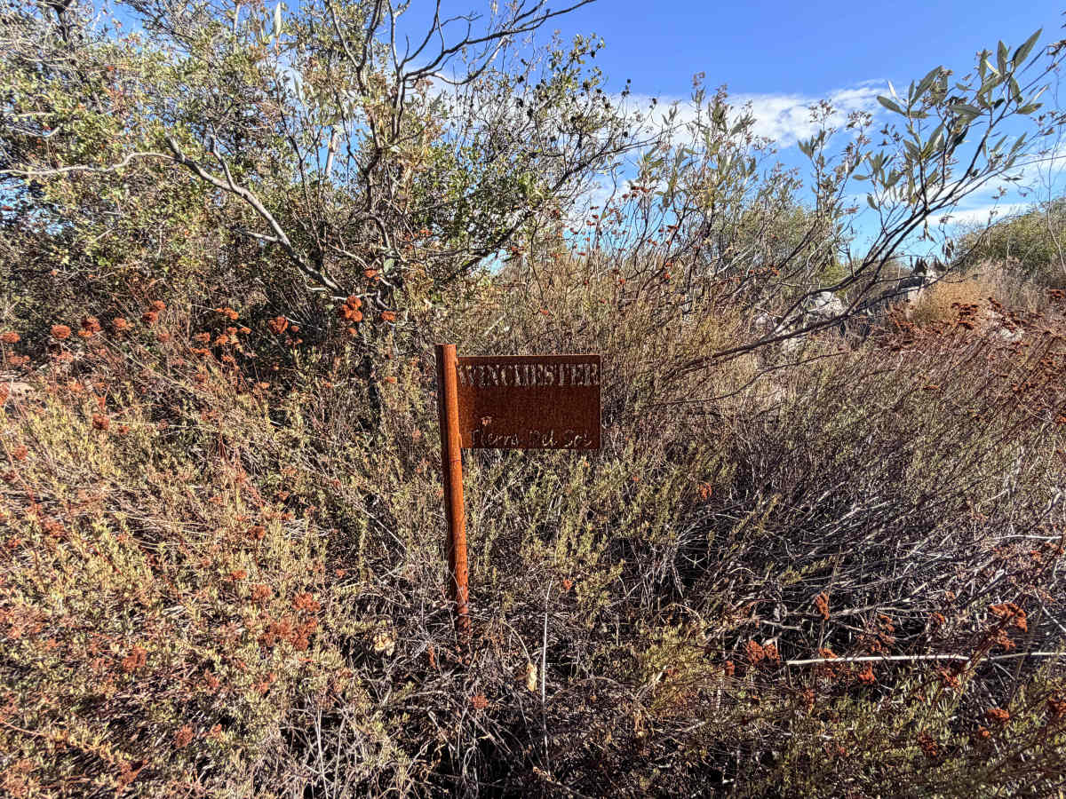Diamond Back Loop  trail photo