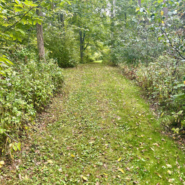 Well-maintained trail through the forested moraine. Near Moraine Prairie Loop