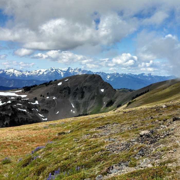 Near Grand Ridge Trail