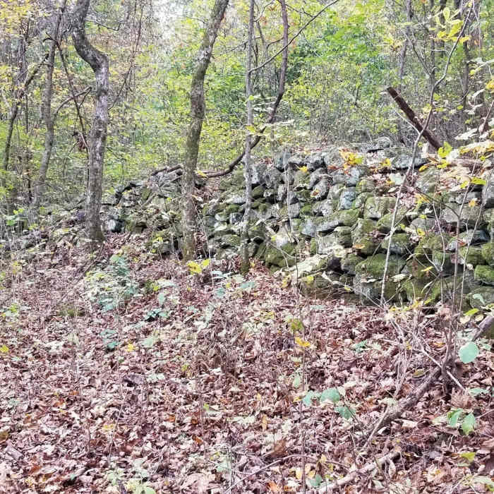 Near Chimney Rock Trail