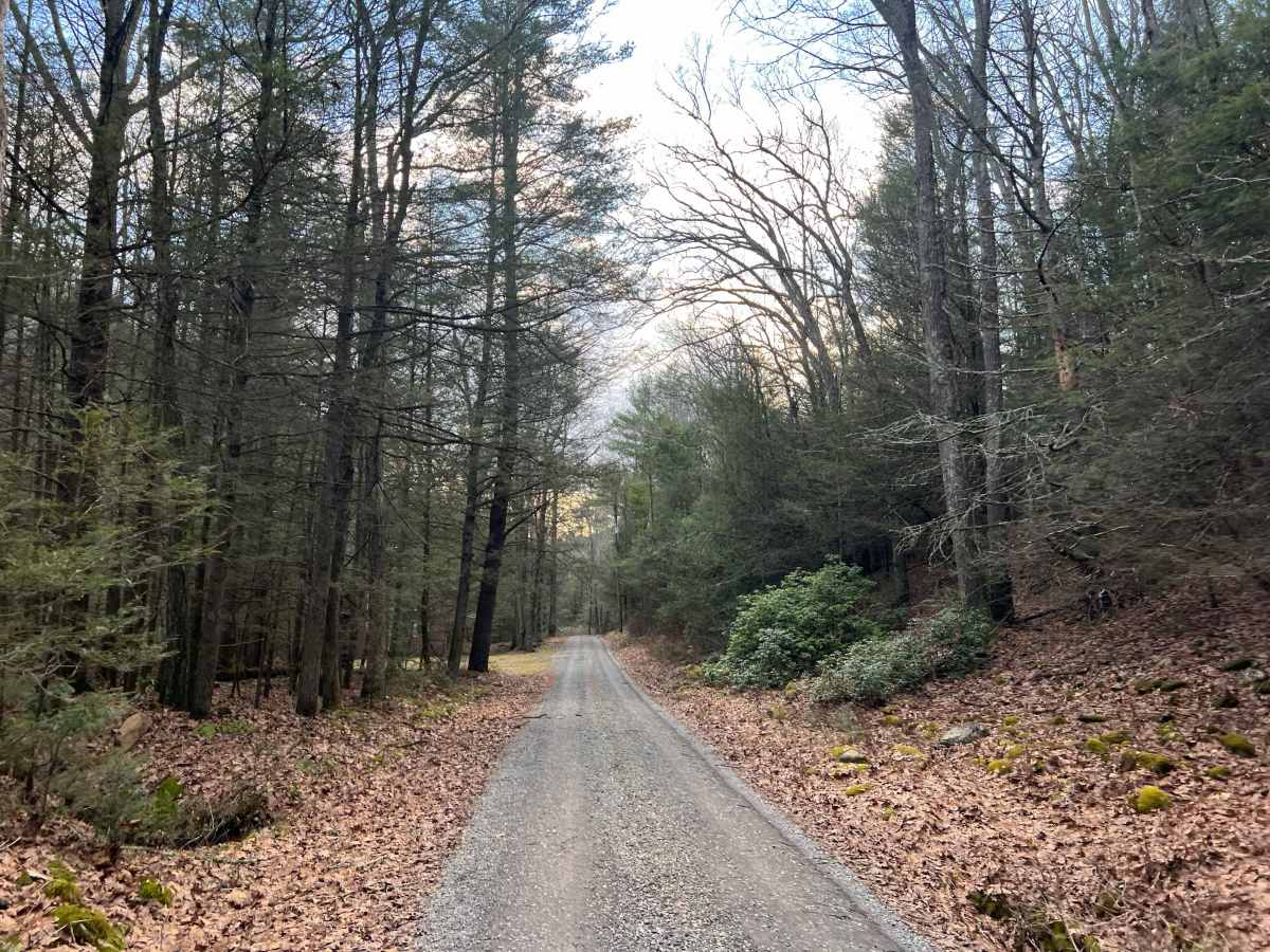 Sheesley Run Road photo 4