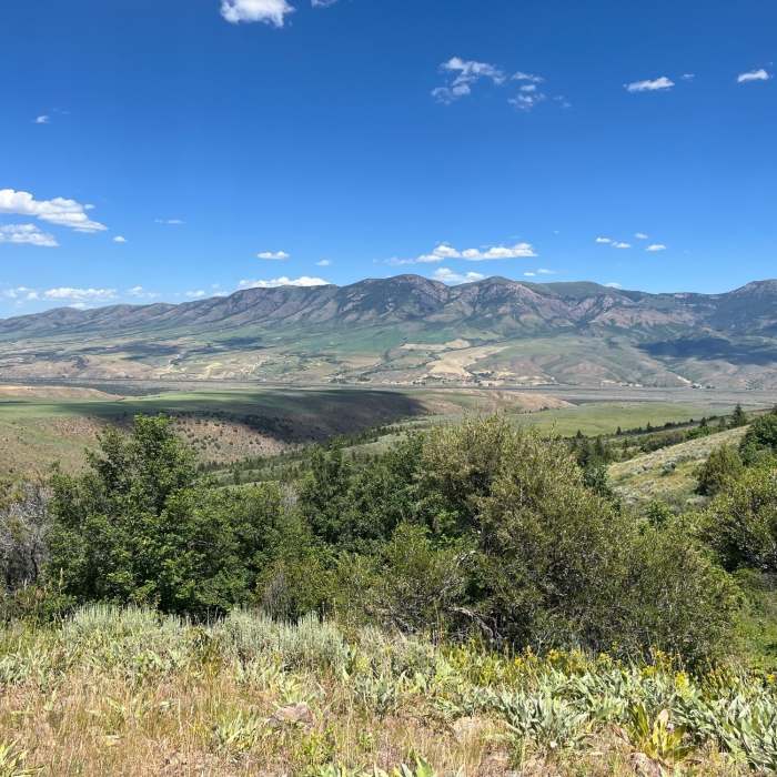 Near Bell Marsh-Walker-Goodenough