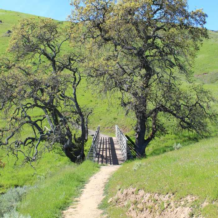 Near Upper Calavera Fault Trail