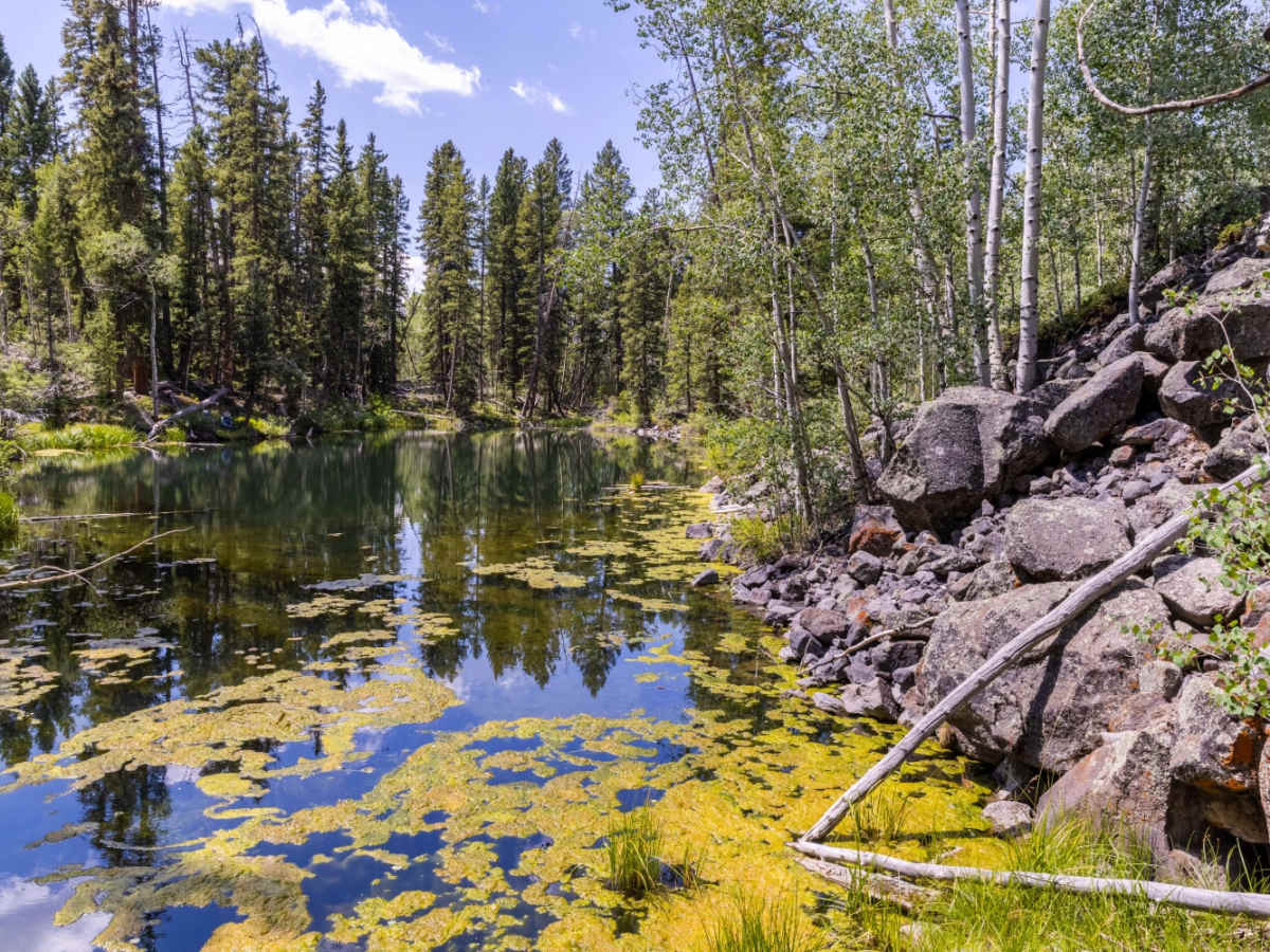 Blind Lake Trail photo 3