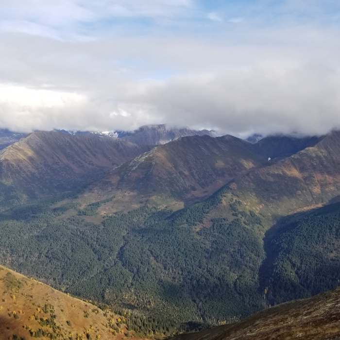 Near Bird Ridge Overlook