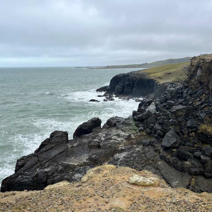 Near Slope Point Walk Near Slope Point Walk