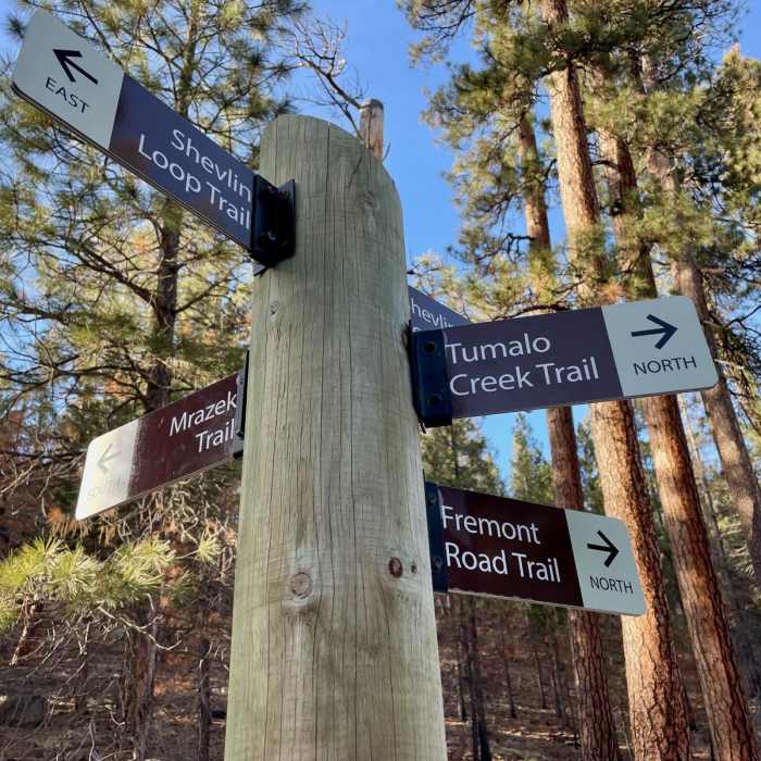 Near Tumalo Creek Trail