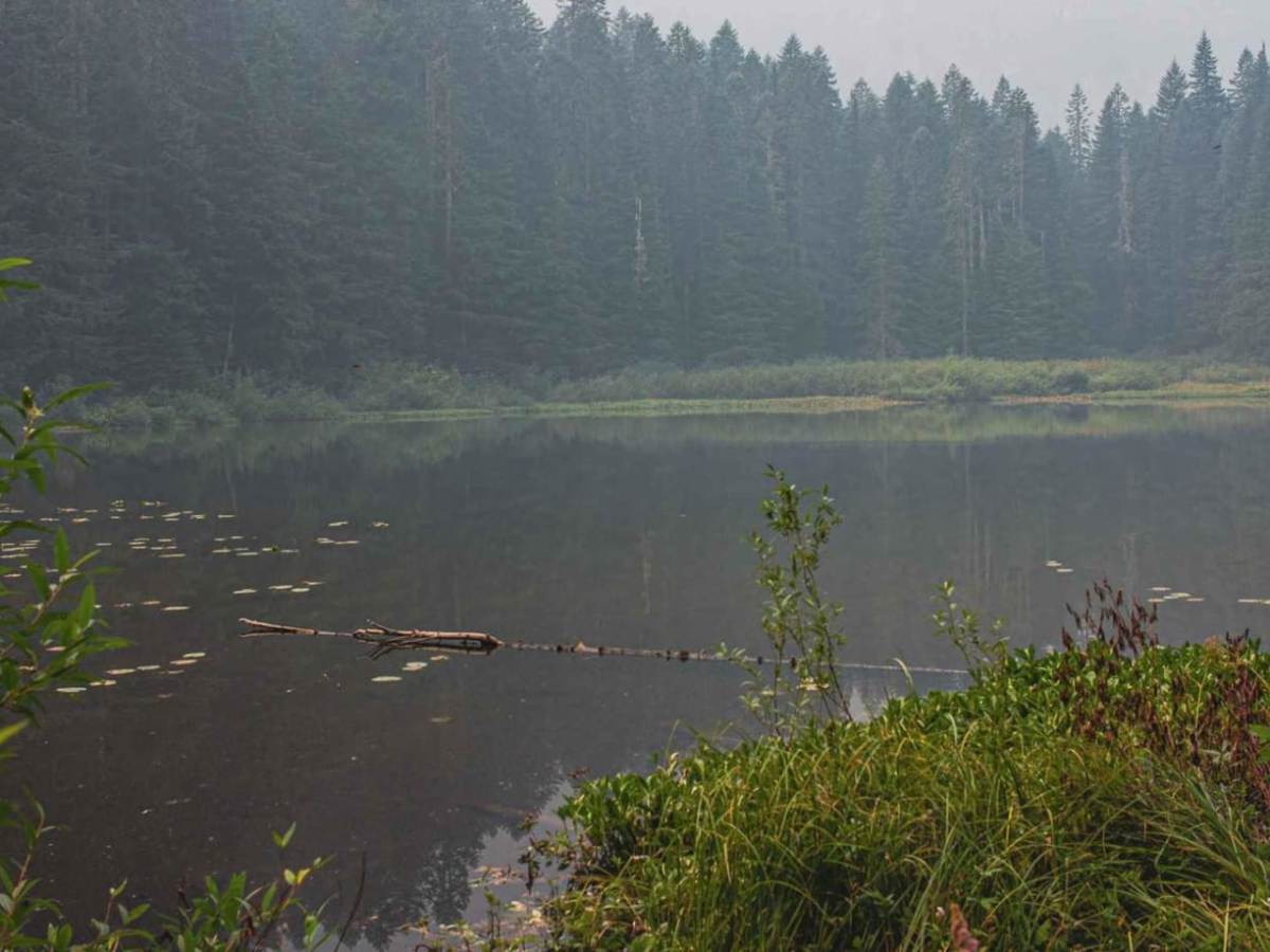 Gordon Lakes trail photo