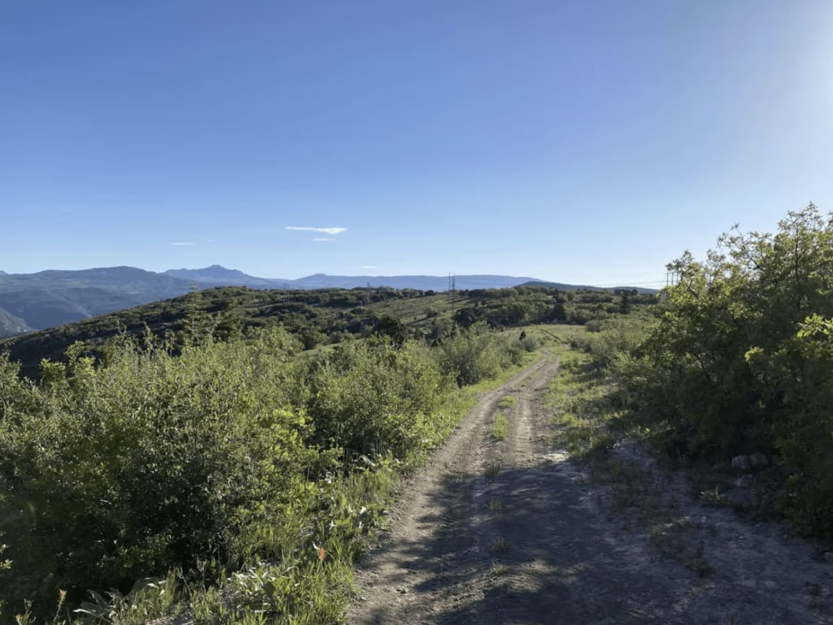 Browns Hole Trail photo 4