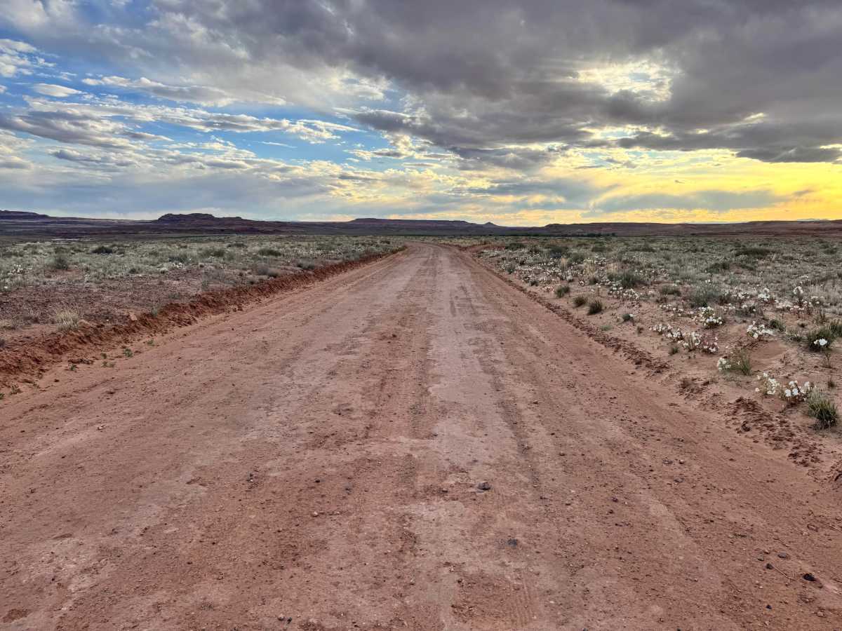 BLM 147 photo 5