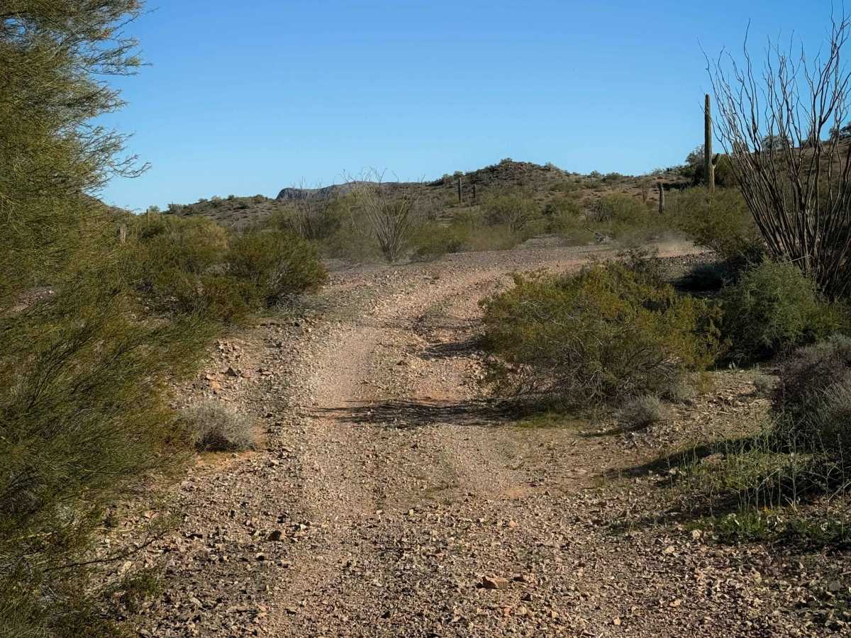 Hs83m trail photo