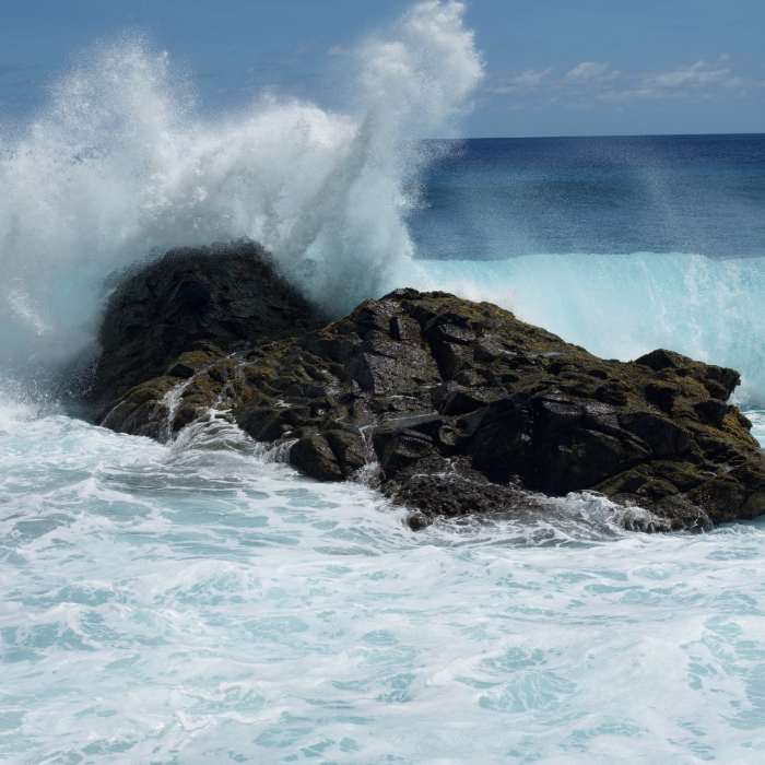 Near Pola Island Trail