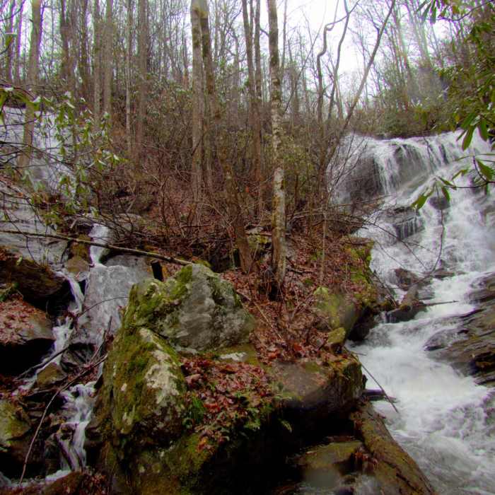 Near Denton Creek Falls Trail Near Denton Creek Falls Trail