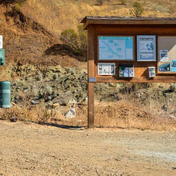 Near Lakeview + Grey Pines Loop, Rosendin Park