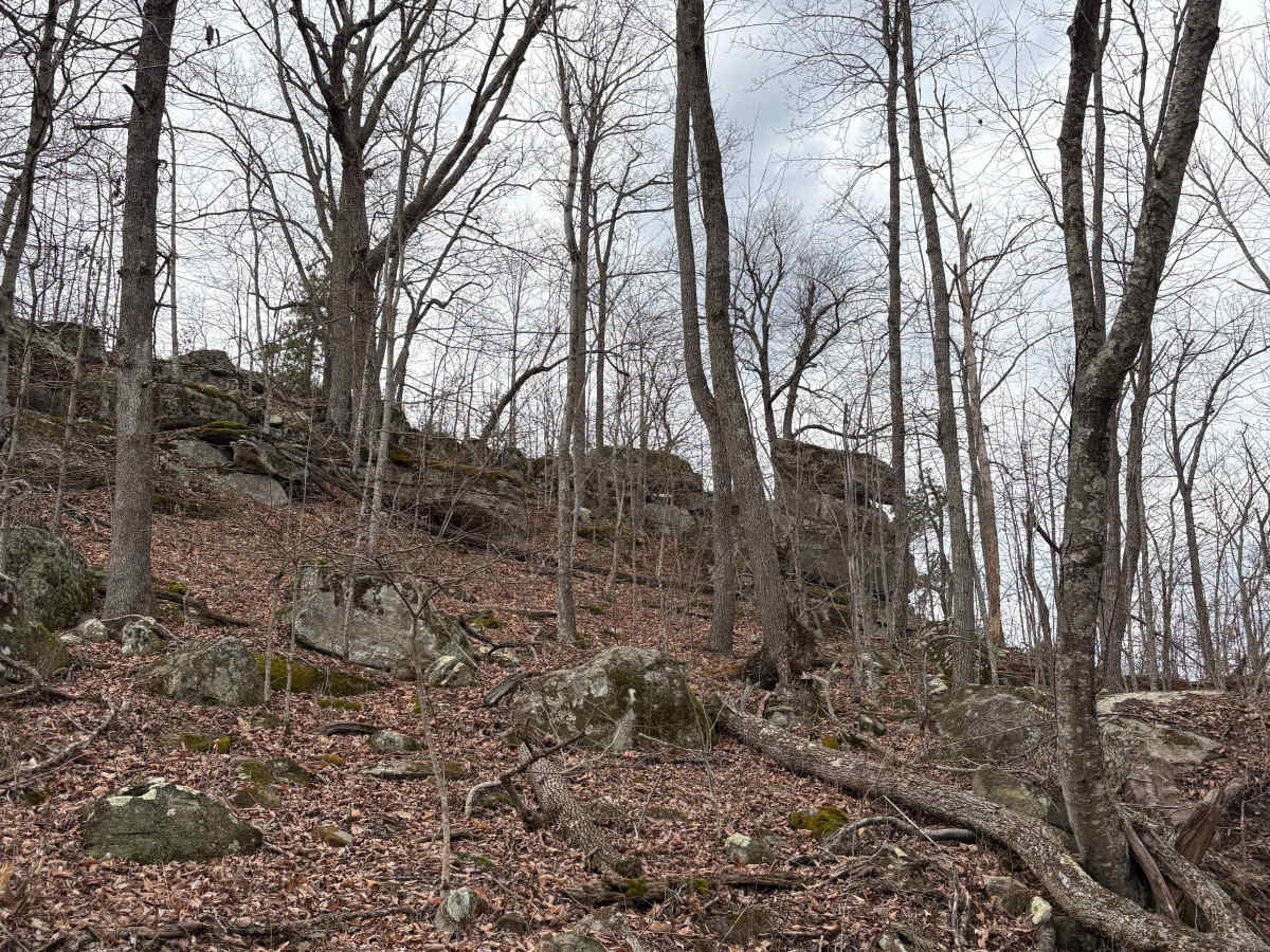 Trail 2 photo 6