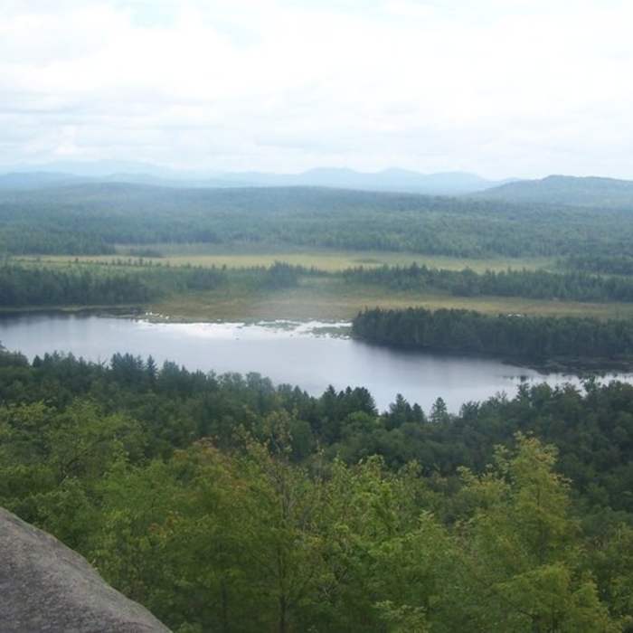 Bog River Flow Near Horseshoe Lake to Low's Ridge