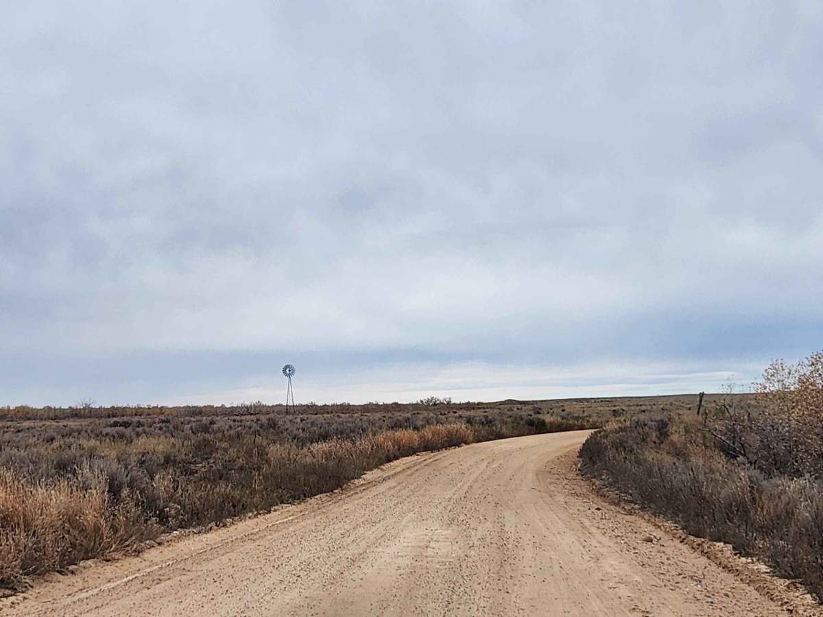 Conestoga Loop  photo 2
