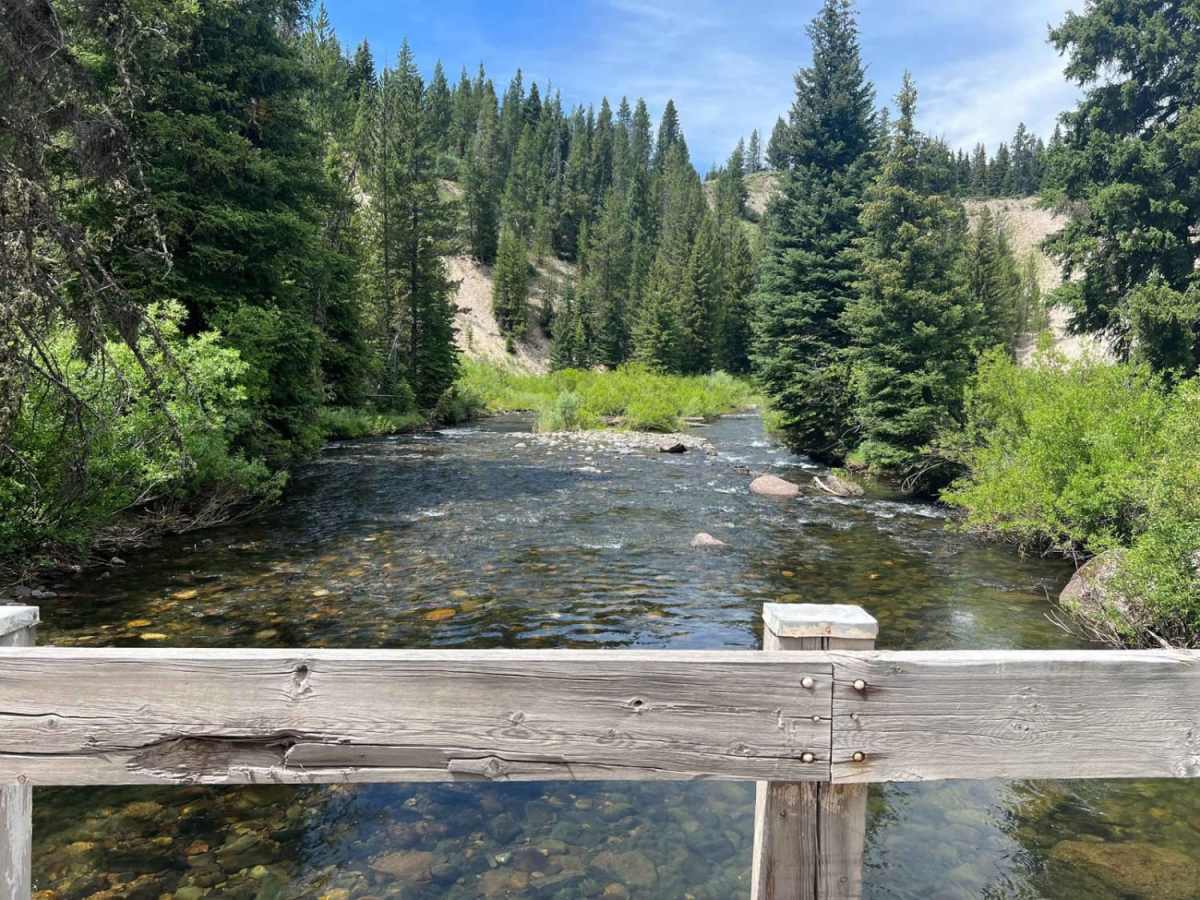 West Fork Madison (FS 209) photo 4