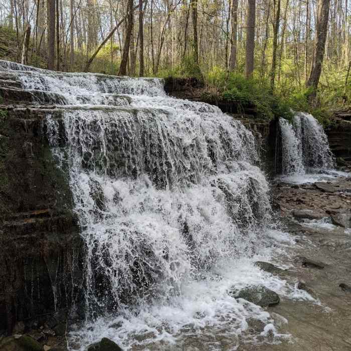 Near City Lake Natural Area