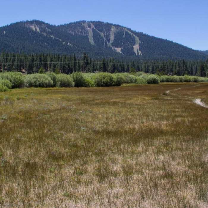 Near Martis Creek Trail