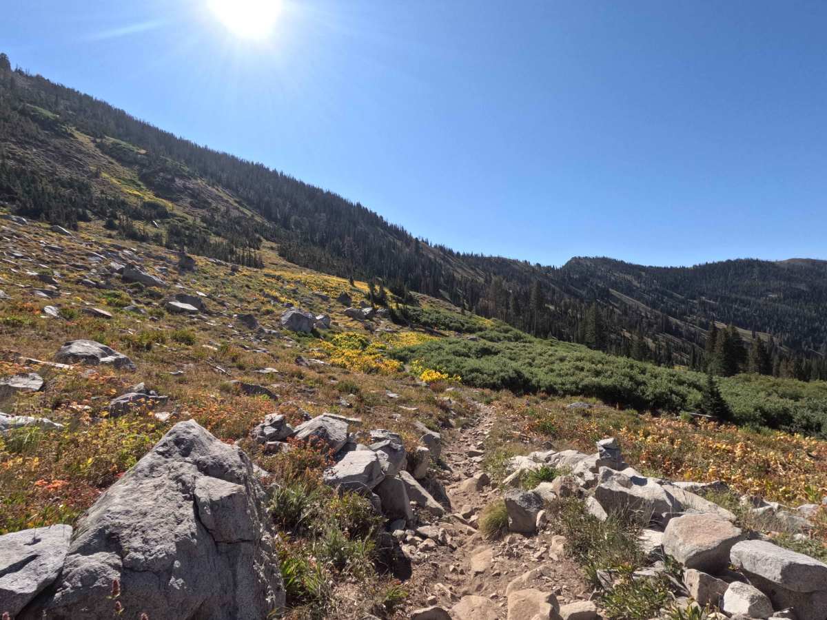 Bear-Willow Connector - FS 7197 photo 2
