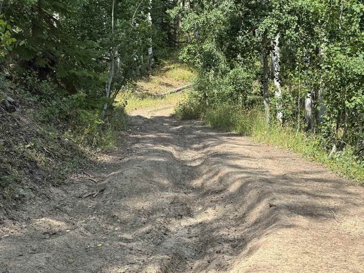 Blue Jay Mine Road photo 6