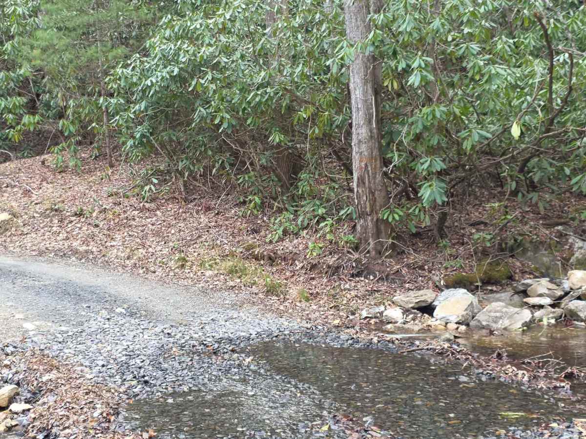 White Oak Flats photo 6