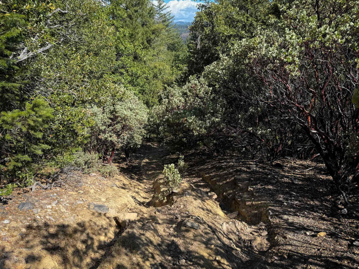Trail 5-3 (11E54)  photo 2