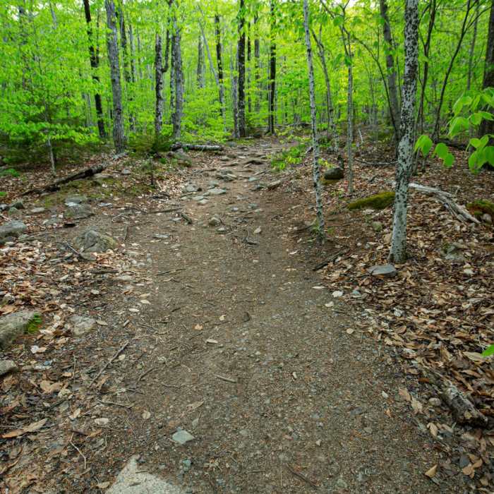 Near The Bubbles and Bubble Rock Hike Near The Bubbles and Bubble Rock Hike