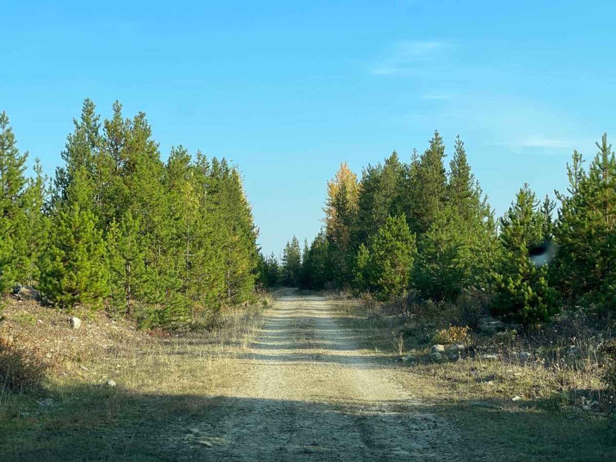 Private Camp trail photo