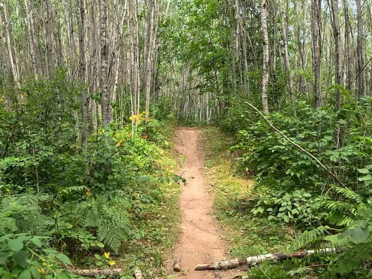 Chelsey Brook Trail photo 6