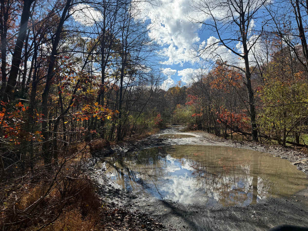 Trail 132 photo 3