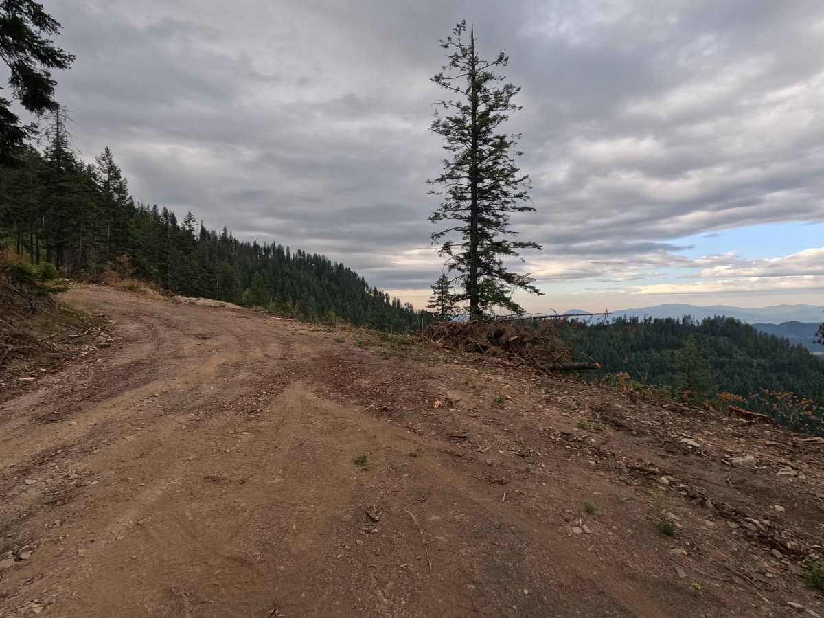 Kings Mountain - FS 5032350 photo 5