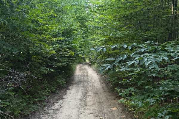 N 3 Trail