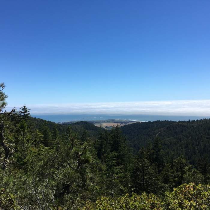 Near Chalk Mountain Loop