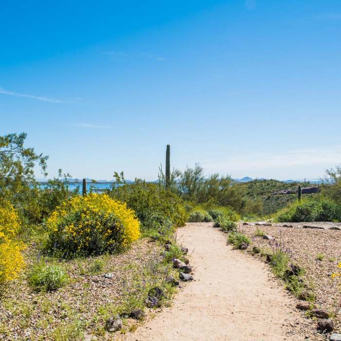 Near Pipeline Canyon Trail