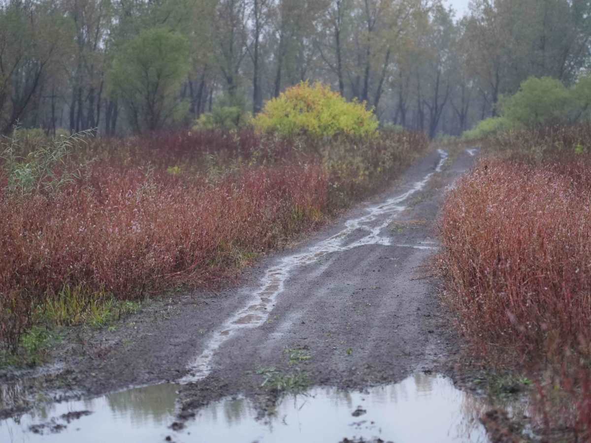 Otter Creek Inner Trail photo 5