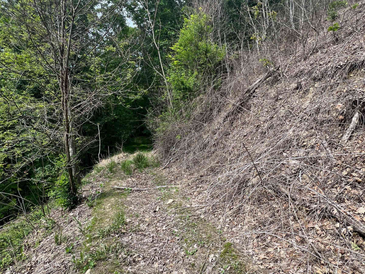 KC30 trail photo
