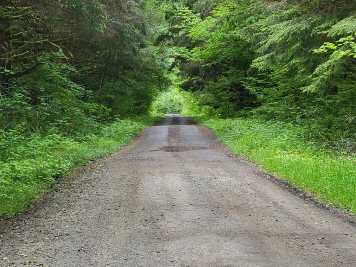 Hole In The Wall/Hunger Repeater Road - 2922 trail photo