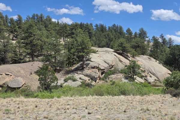 Fish Creek Road - FS 877