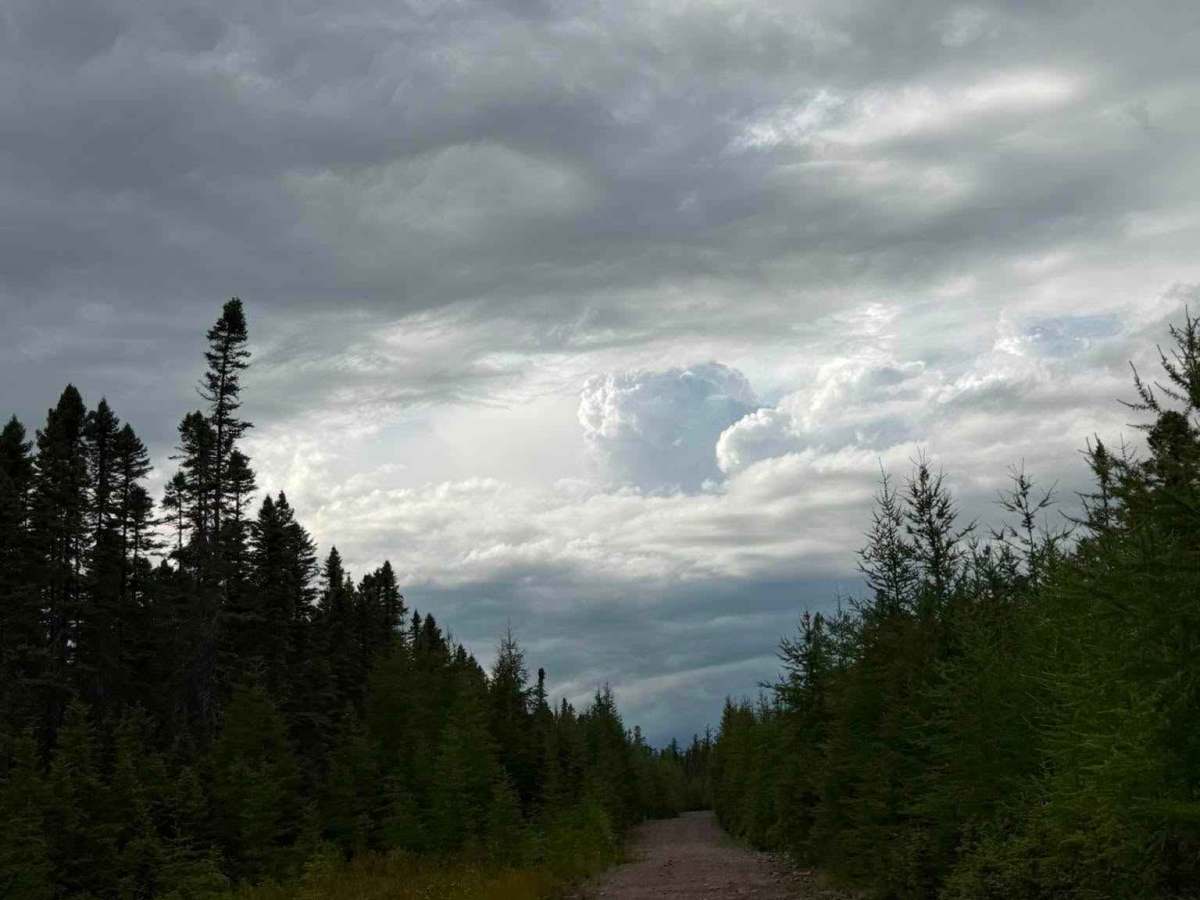 Chemin Rexfor trail photo