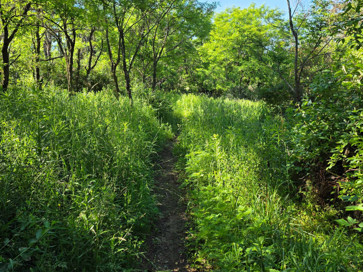 Single Track M photo 6