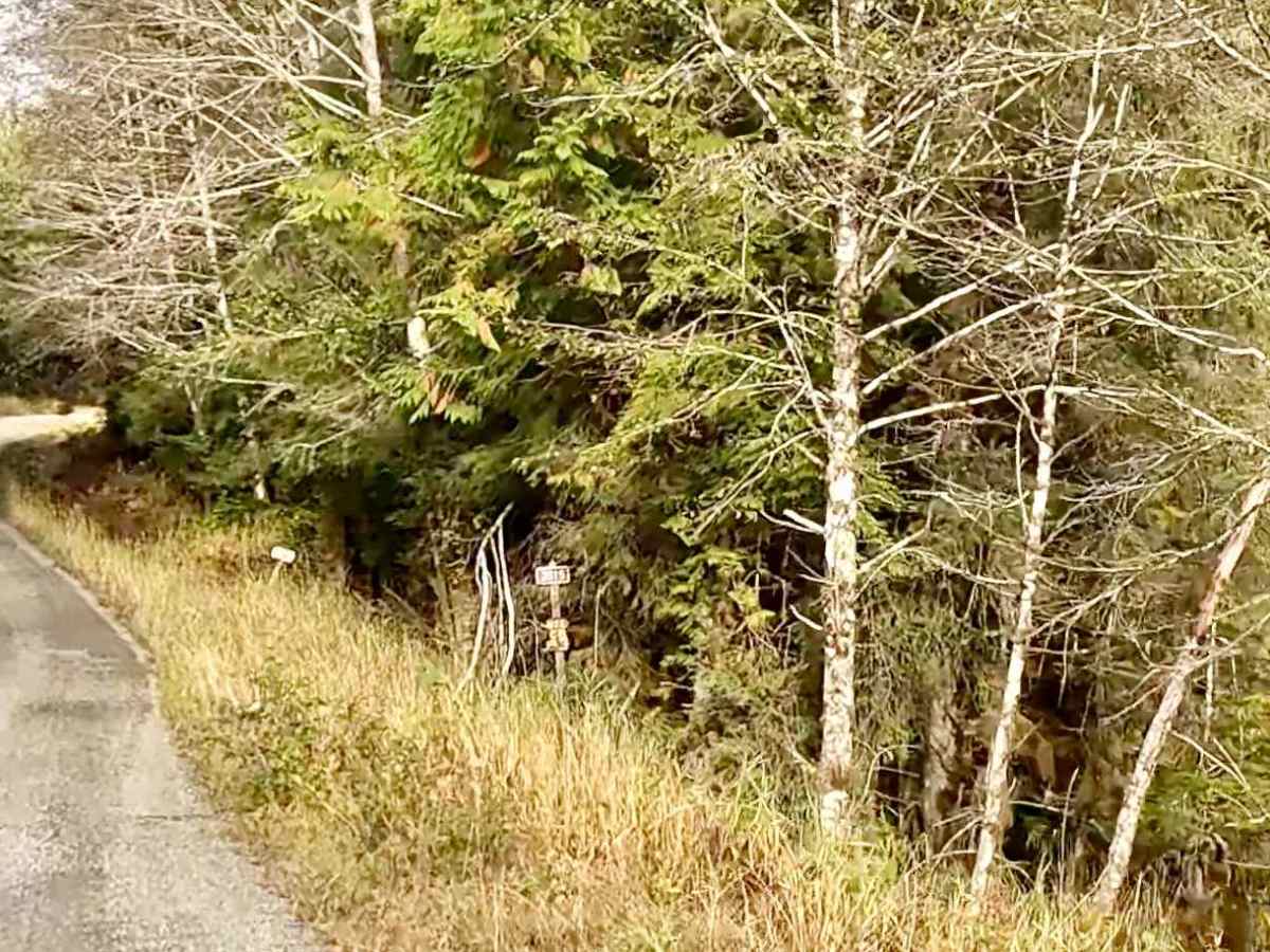 North Thorne River Road - FS 3015000 photo 4